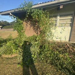 A&J's Professional Lawn Care - Does that look like a $350 job?