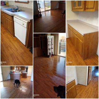 Hot Mess cleanup - Foreclosure with a dumpster full of left behind items removed. - Office Cleaning Near Me - Terre Haute, Indiana Hot Mess cleanup - Foreclosure with a dumpster full of left behind items removed. - Office Cleaning Near Me - Terre Haute, Indiana