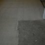 Steam Carpet Cleaning