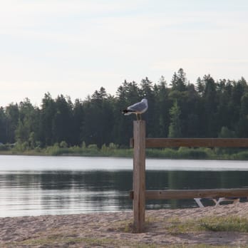 Beachcomber - A view from the outdoor sitting area, very peaceful - Hotels Near Me - Mackinaw City, Michigan Beachcomber - A view from the outdoor sitting area, very peaceful - Hotels Near Me - Mackinaw City, Michigan