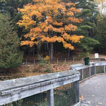 Oden State Fish Hatchery - Parks Near Me - Alanson, Michigan