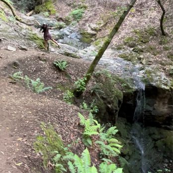 Dawn Falls - Hiking Near Me - Larkspur, California
