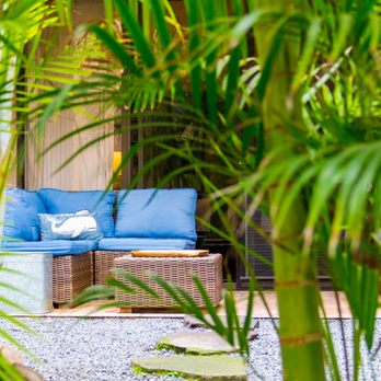 Alexanders Designs & Remodeling - a patio with a blue couch and green plants - General Contractors Near Me - Kahului, Hawaii Alexanders Designs & Remodeling - a patio with a blue couch and green plants - General Contractors Near Me - Kahului, Hawaii