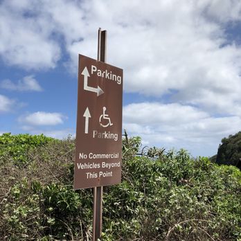 Kilauea Point - Wildlife Control Near Me - Kilauea, Hawaii Kilauea Point - Wildlife Control Near Me - Kilauea, Hawaii