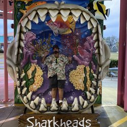 Sharkheads - Great photo s