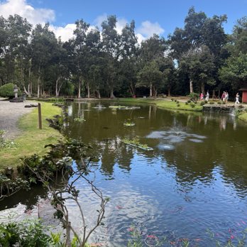 Byodo-In Temple - Koi Pond - Buddhist Temples Near Me - Kaneohe, Hawaii
