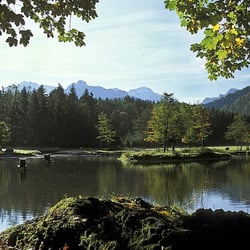 Cumberland-Wildpark-, Grünau