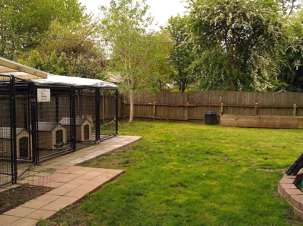 DOG LOUNGE DOG DAYCARE 10 Photos Portland, Oregon Pet Sitting