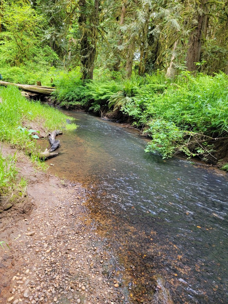Salmon Creek-Morgan Creek Natural Area Logo