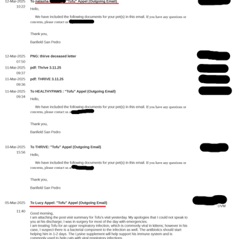 Bellspurr Maine Coons - medical record shows email sent to her name - Pet Stores Near Me - San Antonio, Texas