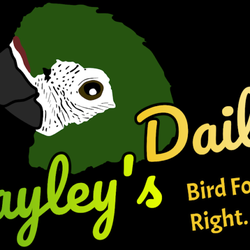 Wayley's Dailies