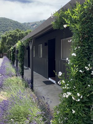 Hidden Valley Inn by null