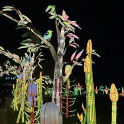 Houston Botanic Garden - Radiant nature 2026