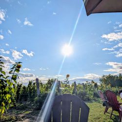 Kin Vineyards - Beautiful Fall day