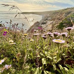 San Simeon State Beach - Scenery off the bluff