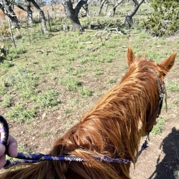 Bit & Bridle Boarding & Training Stables - Horse on the trail ride - Horseback Riding Near Me - Harper, Texas Bit & Bridle Boarding & Training Stables - Horse on the trail ride - Horseback Riding Near Me - Harper, Texas