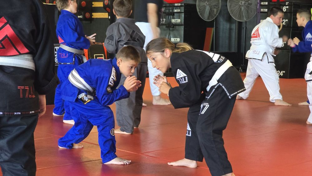 Triple Seven Jiu Jitsu Logo