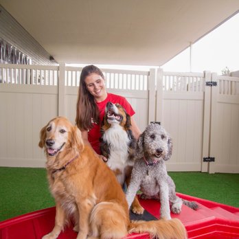 Camp Bow Wow - Pet Training Near Me - Westminster, Colorado