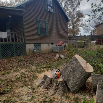 Little Joe's Tree Service - Satisfied customer - Tree Services Near Me Little Joe's Tree Service - Satisfied customer - Tree Services Near Me