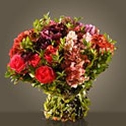 Fleurs du Faubourg
