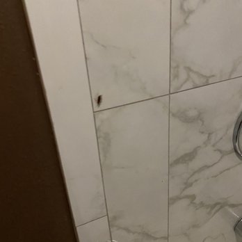 Anaheim Lodge - One of the cockroaches we saw in the restroom - Hotels Near Me - Anaheim, California
