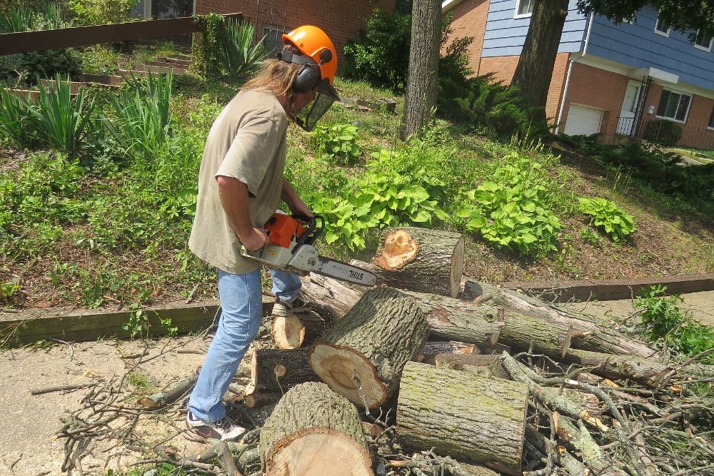 Elite Tree Removal - tree service in Columbia, SC