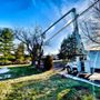 Photo of ATS Tree Services