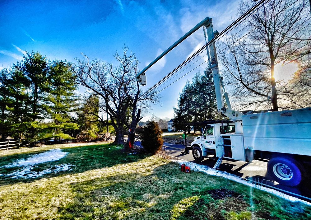 ATS TREE SERVICES Updated September 2024 215 Frontier Rd, Perkasie