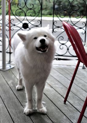 Ba Bar University Village by null