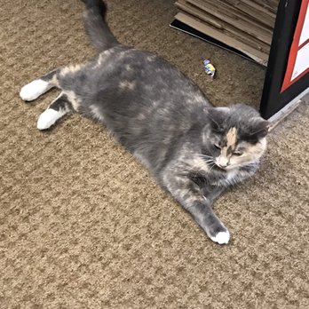 Waiting Room Records - Murph! - Music & DVDs Near Me - Normal, Illinois