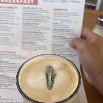 Shorehouse Kitchen - Lavender latte - Breakfast & Brunch Near Me - Carlsbad, California Shorehouse Kitchen - Lavender latte - Breakfast & Brunch Near Me - Carlsbad, California