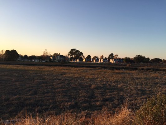 Photo of Redwood Shores Bay Trail - Redwood City, CA, US.