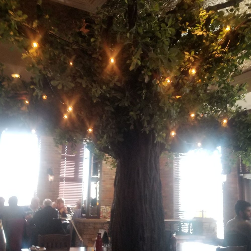 The Park Kitchen & Bar - The very nice decor in this restaurant includes this tree. - Burgers Near Me - Calgary, Alberta The Park Kitchen & Bar - The very nice decor in this restaurant includes this tree. - Burgers Near Me - Calgary, Alberta