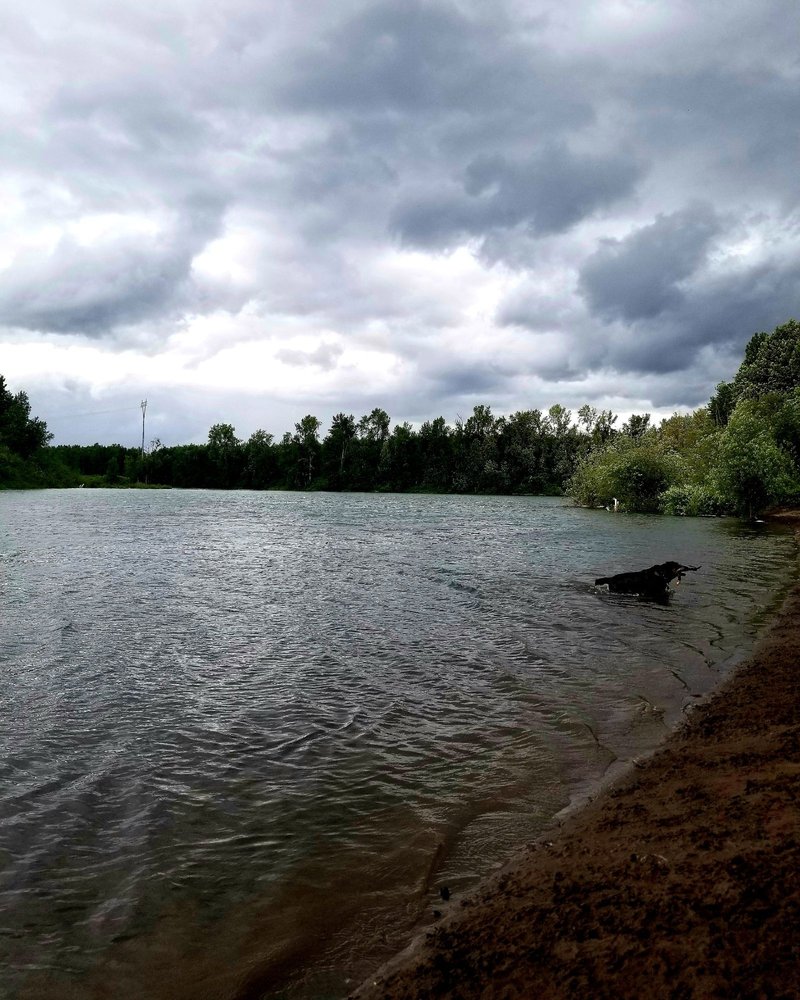 1000 ACRE DOG PARK 157 Photos & 137 Reviews Dog Parks Exit 18