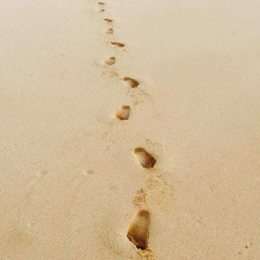 Keaau Beach Park - Follow my footsteps ~ no really. These are mine :D - Parks Near Me - Waianae, Hawaii