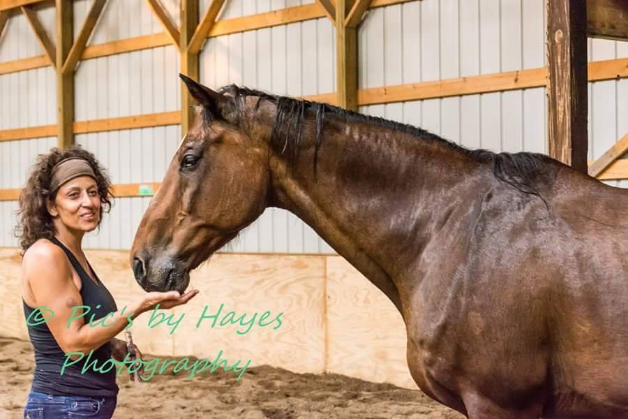 Epona Equine Sanctuary &Equestrian School Logo