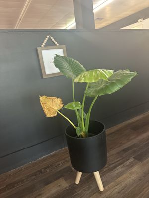 Be Wiched Diner by null