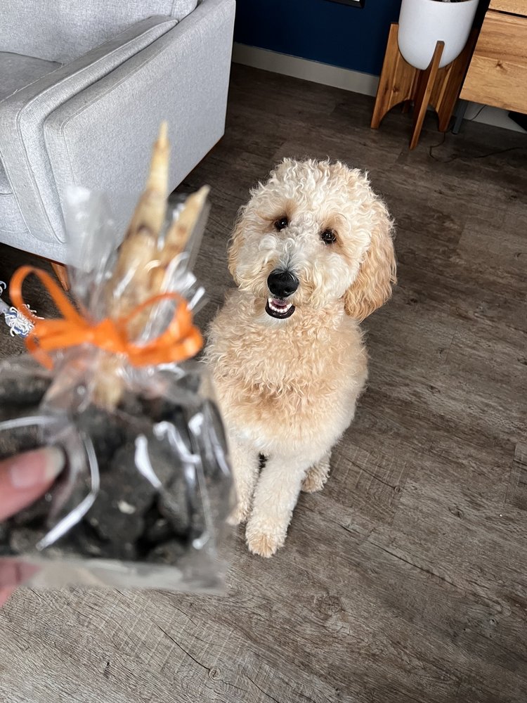 ALL THE BEST PET CARE Updated August 2024 27 Photos & 134 Reviews