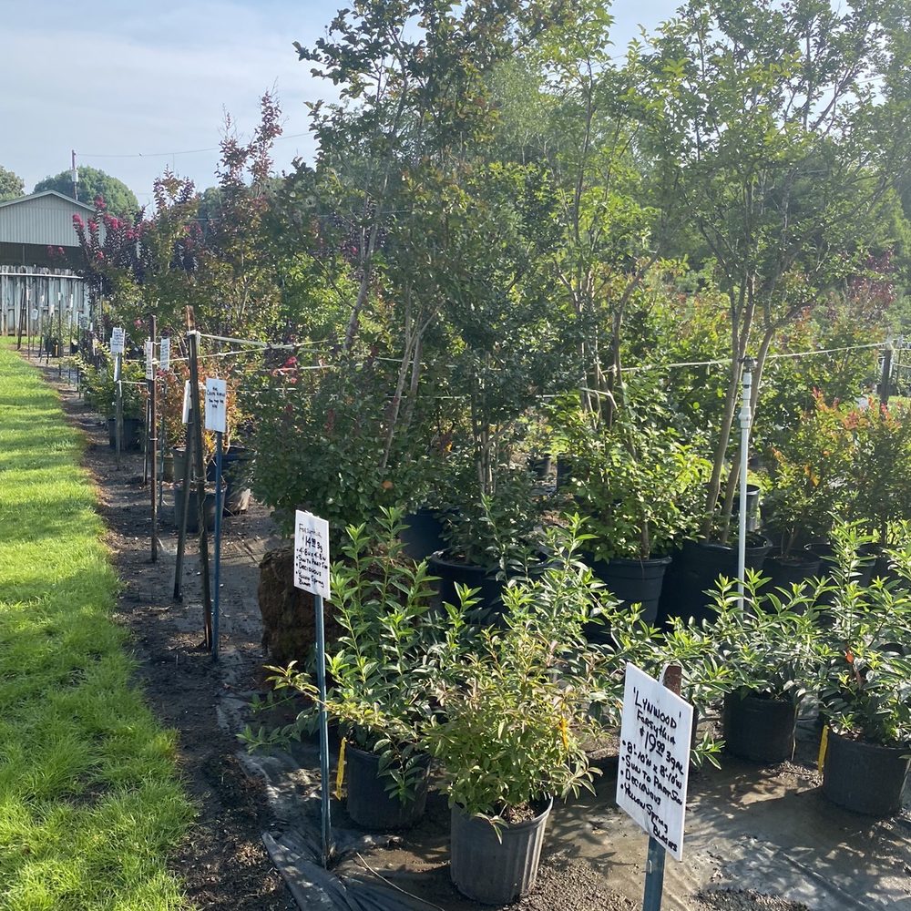 Mikes Growers Outlet - Plants are labeled. - Nurseries & Gardening Near Me - Stanley, North Carolina