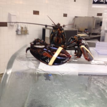 Meijer - He was like a lobster out of water. - Bakeries Near Me - Detroit, Michigan Meijer - He was like a lobster out of water. - Bakeries Near Me - Detroit, Michigan
