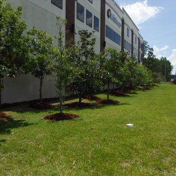Kelly Klean - a white frisbee in front of a building - Lawn Services Near Me - Macclenny, Florida Kelly Klean - a white frisbee in front of a building - Lawn Services Near Me - Macclenny, Florida