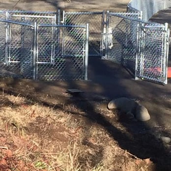 B-Town Dog - Dog Parks Near Me - Burien, Washington B-Town Dog - Dog Parks Near Me - Burien, Washington