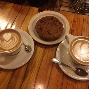 Panther Coffee - Coffee & Tea Near Me - Miami, Florida Panther Coffee - Coffee & Tea Near Me - Miami, Florida