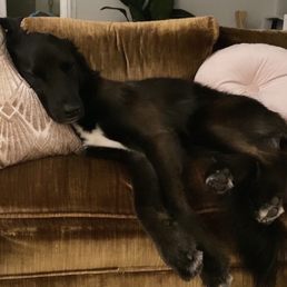 So tired everyday after lots of playing! So tired everyday after lots of playing!