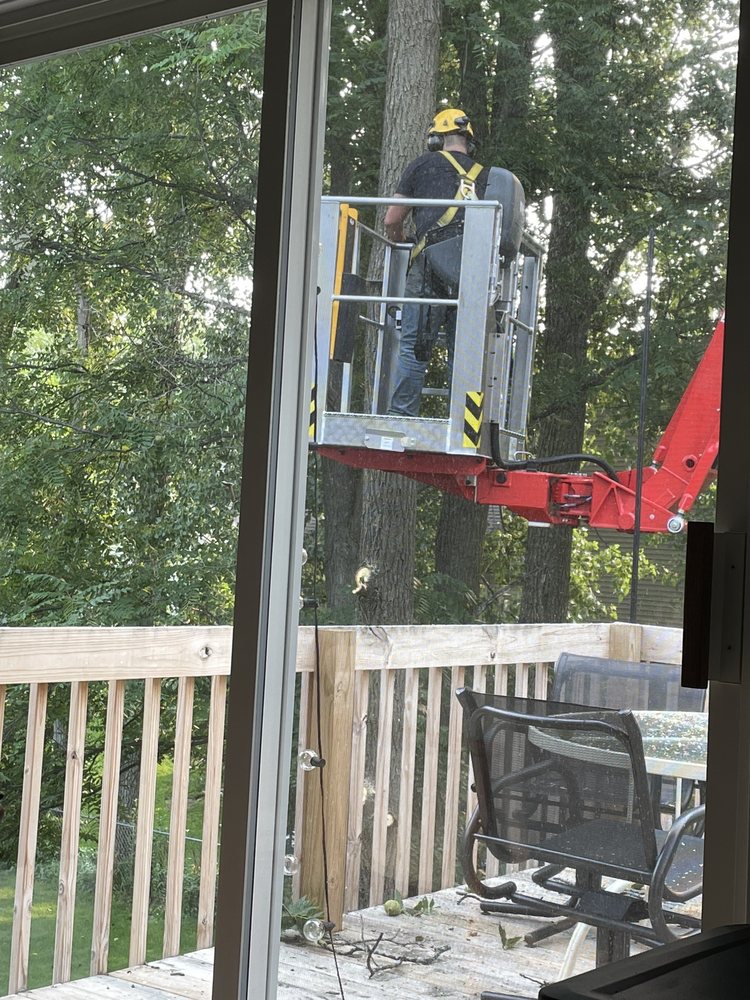 New Life Arboricultural Service - tree service in Grand Rapids, MI