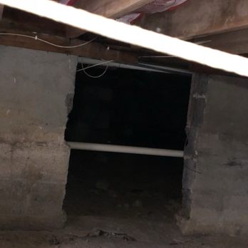 Power Pests - Call now , we will go where the bugs or rodents are hiding, crawlspace or attic. (267) 253-0949.. - Pest Control Near Me - Newtown, Pennsylvania