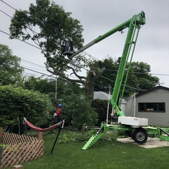 Alejandres Tree Service - Tree Services Near Me - Round Lake Beach, Illinois Alejandres Tree Service - Tree Services Near Me - Round Lake Beach, Illinois