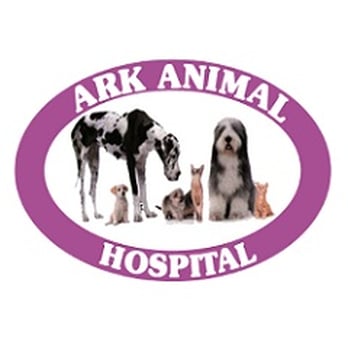 Ark Animal Hospital - Veterinarians Near Me - Casper, Wyoming Ark Animal Hospital - Veterinarians Near Me - Casper, Wyoming
