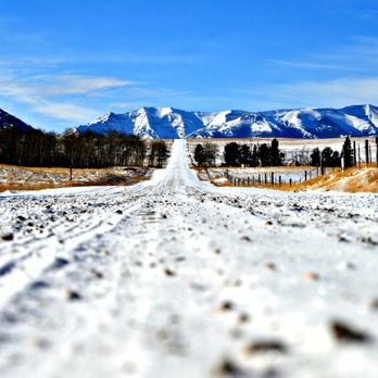 Tread 'n' Trails - Historical Tours Near Me - Cody, Wyoming Tread 'n' Trails - Historical Tours Near Me - Cody, Wyoming