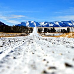 Tread 'n' Trails